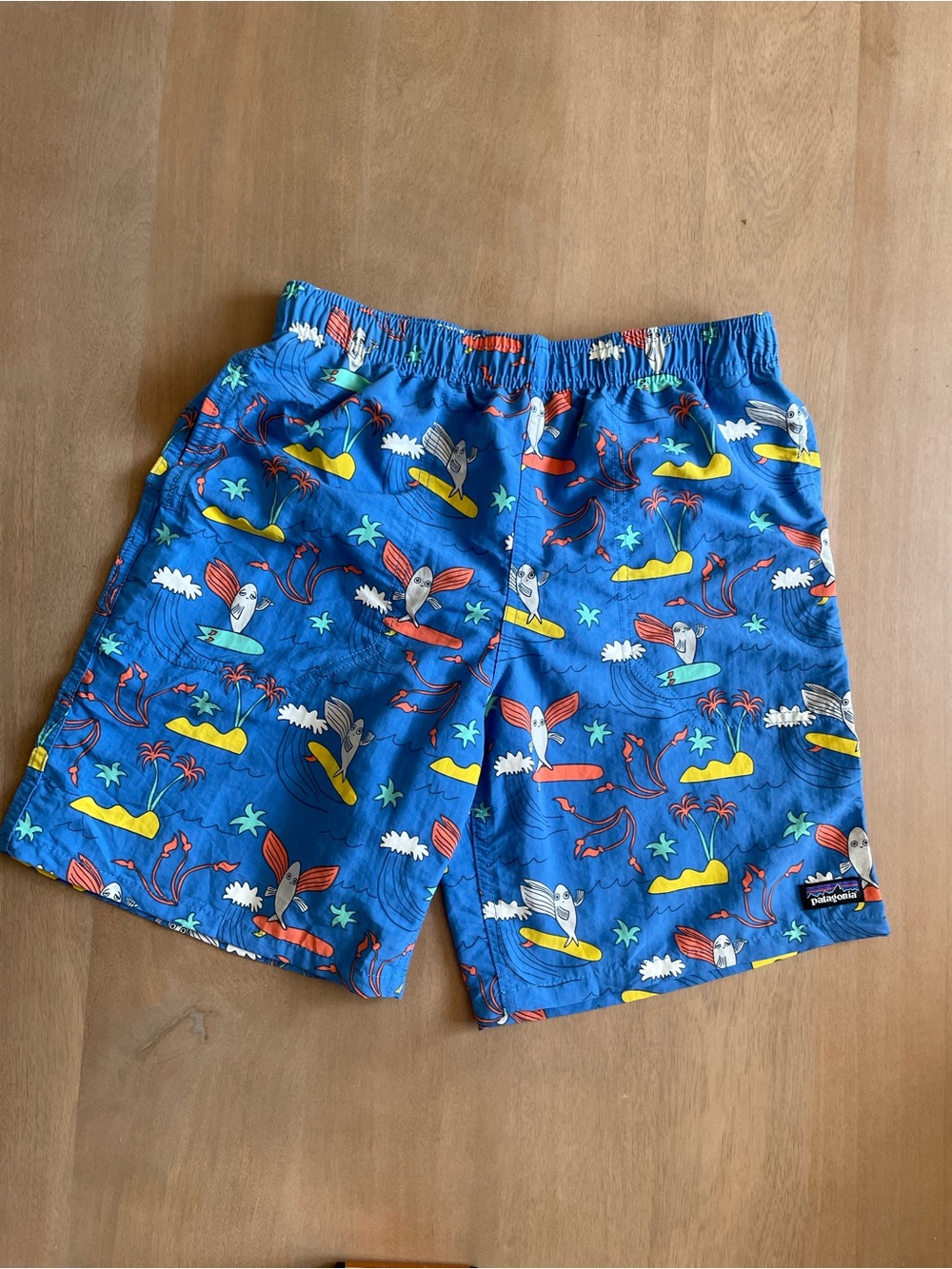 Patagonia Blue Baggies Swim Shorts